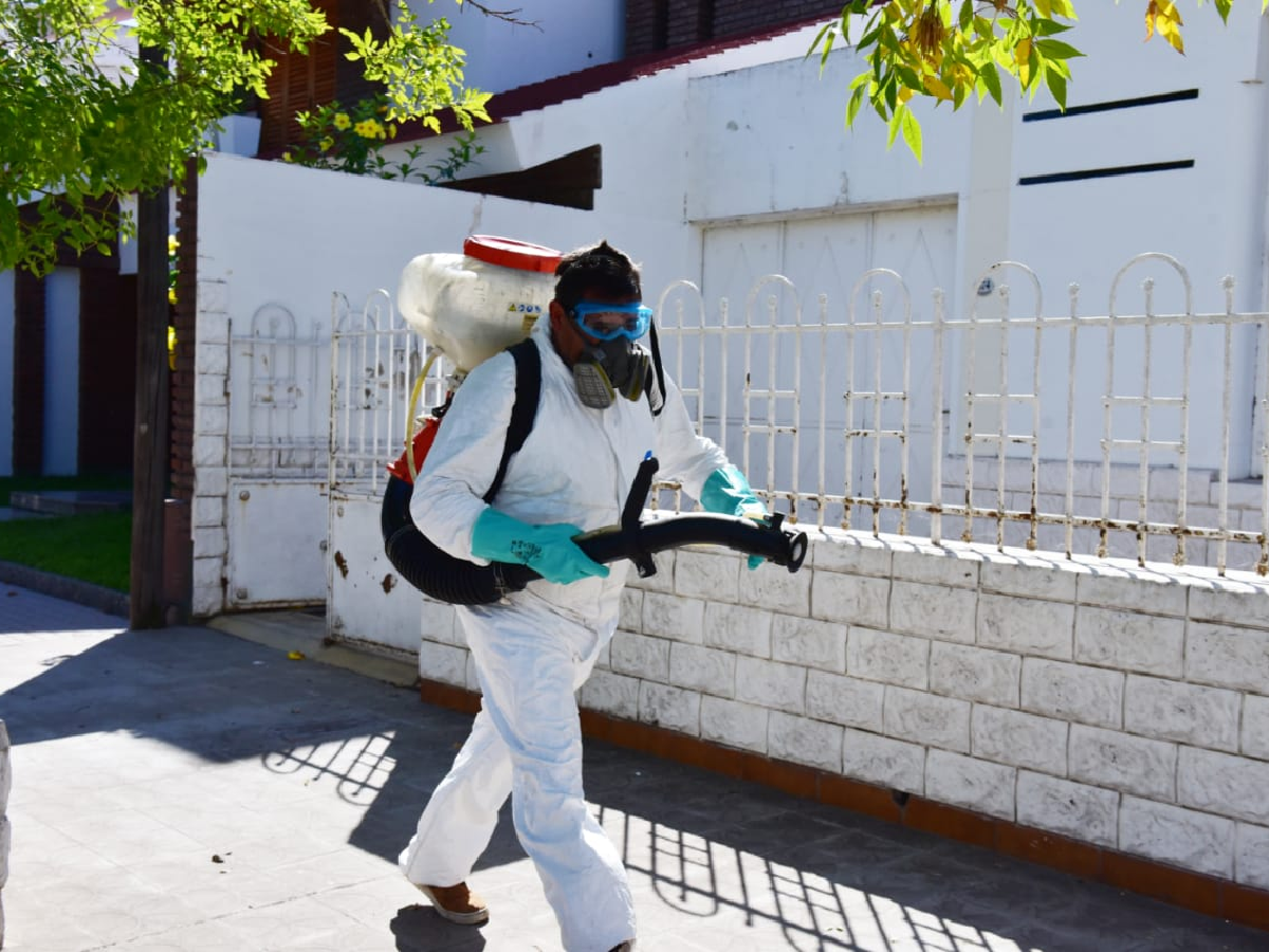 Dengue Fumigan En Los Barrios Pero Advierten Que No Alcanza Para