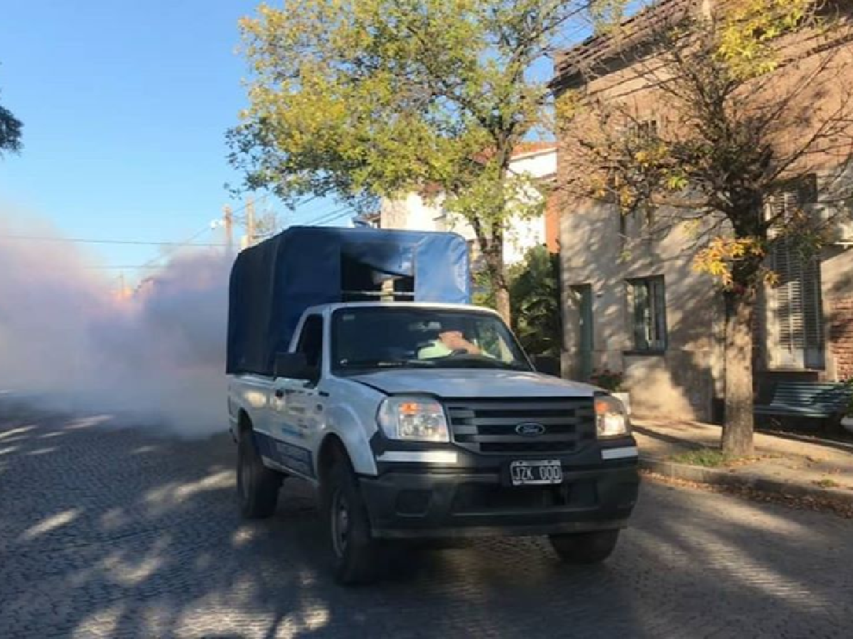 Dan Por Cerrado El Brote De Dengue En C Rdoba Luego De Otra Semana Sin Contagios La Voz De San