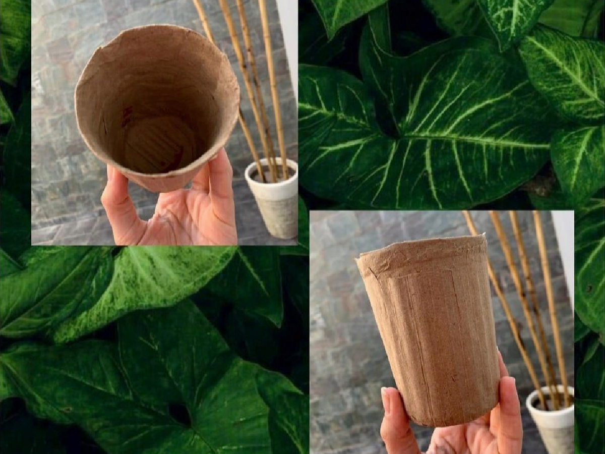 Ecomacetas: un proyecto educativo para reducir el plástico en Brinkmann ...