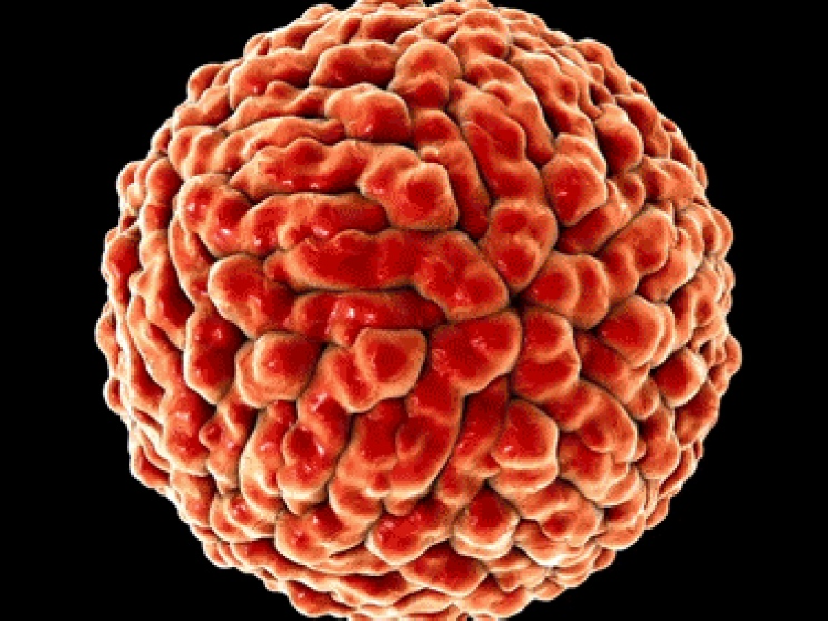 Una nueva cepa del coronavirus se expande de forma acelerada en el Reino Unido