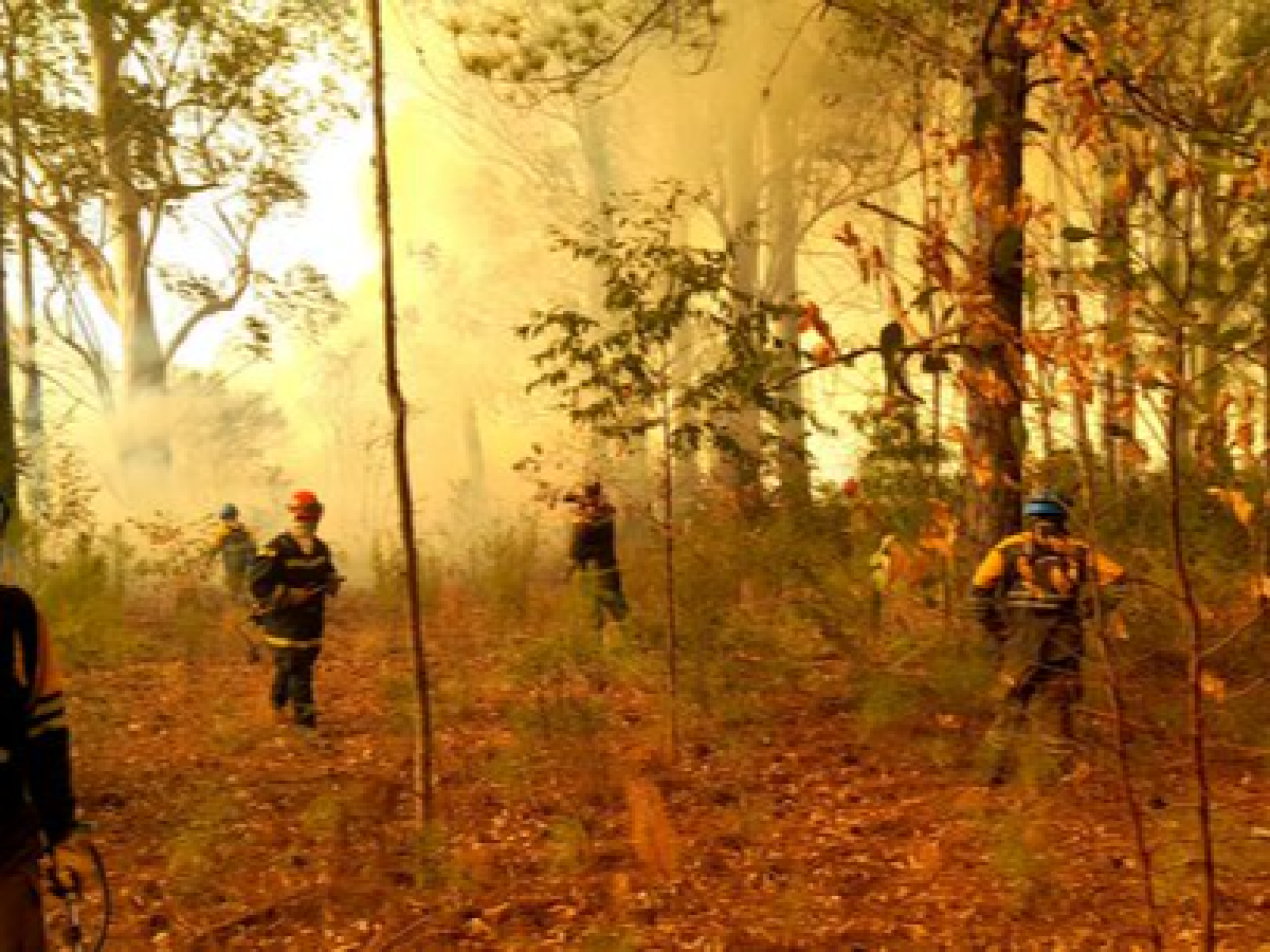 Córdoba envía 146 bomberos y un avión para combatir el fuego en Corrientes