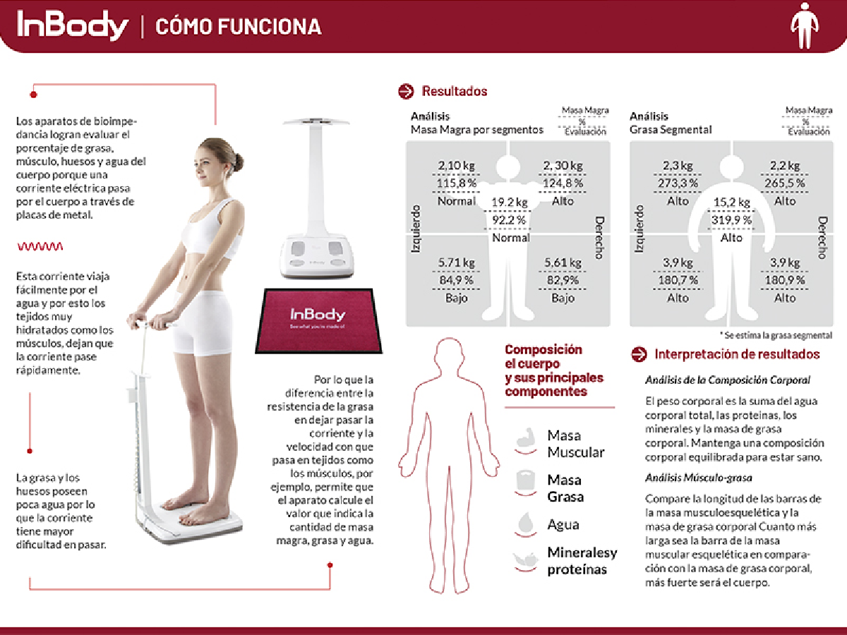 Pautas para entender un estudio de bioimpedancia