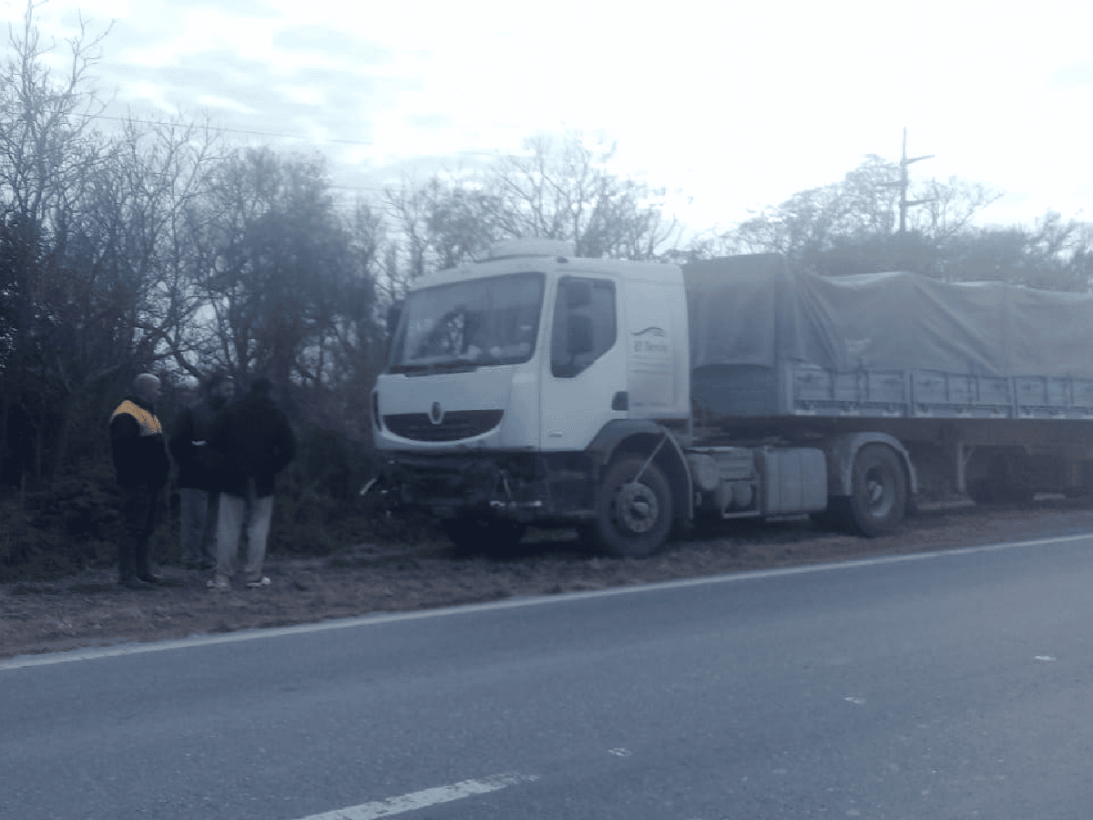  Un camión chocó cinco vacas en la ruta nacional 19