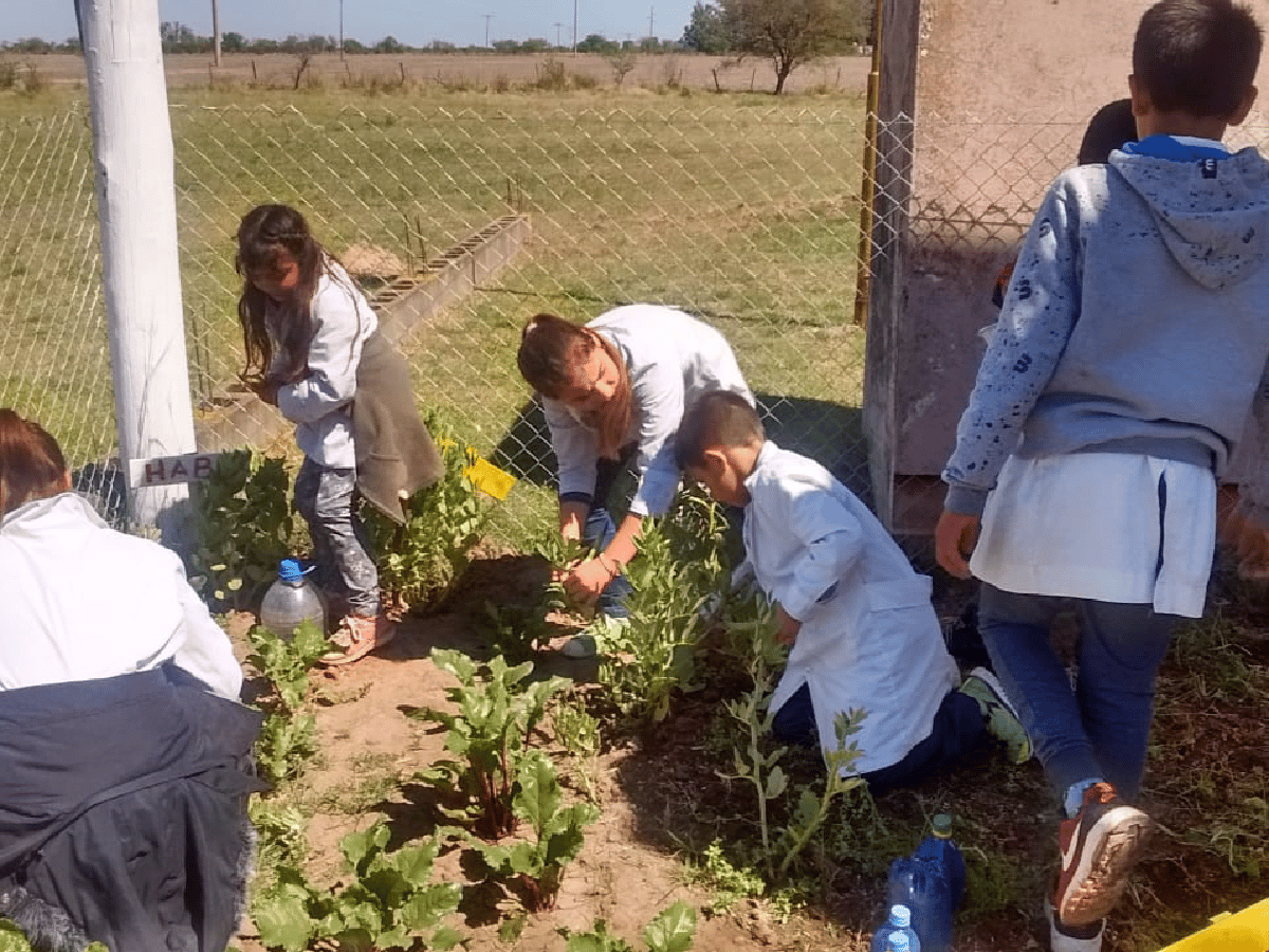  En La Francia, alumnos rurales  producen alimentos saludables para llevar a la mesa familiar 