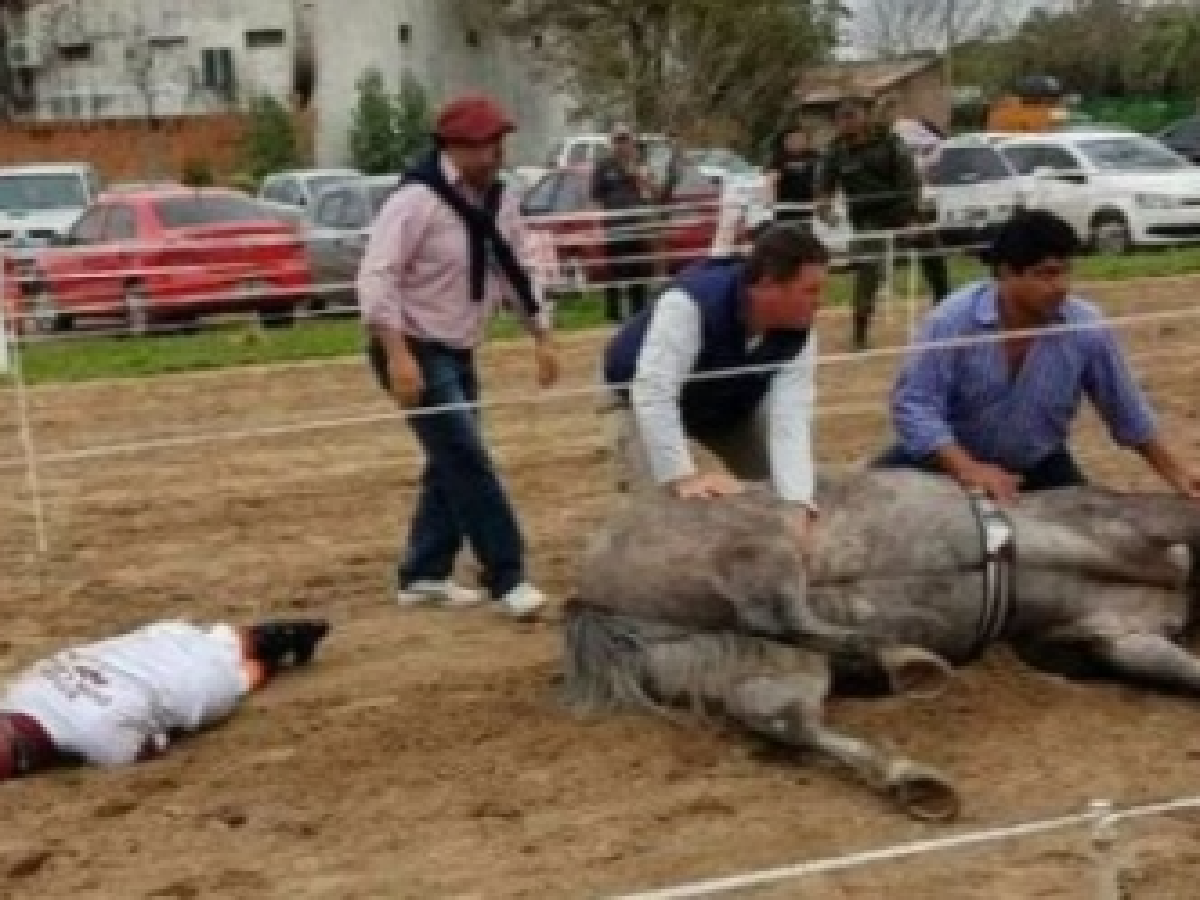 Murió Doña Fantasía, la yegua de "Pepe" Sand, y hay sospecha de doping