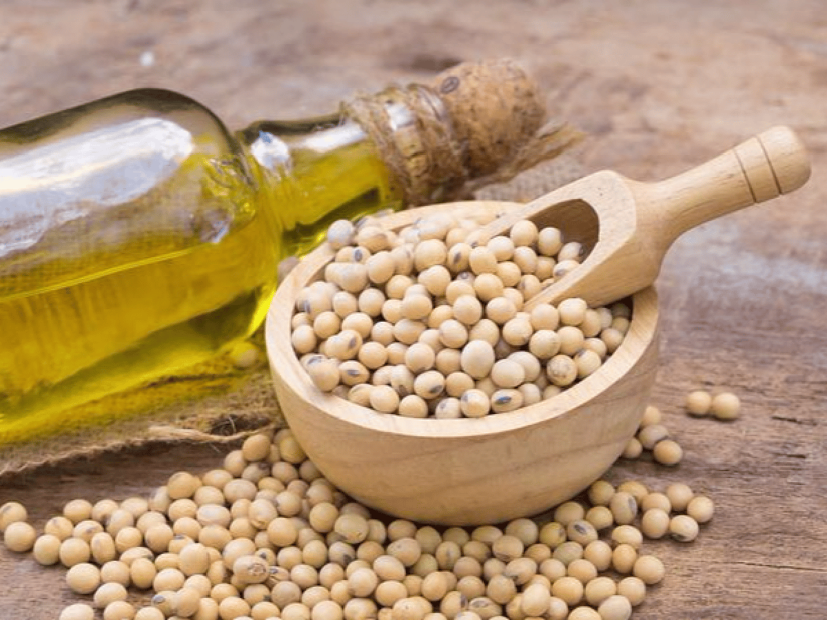  Exportaciones de aceite de soja a India aumentarán un 30%, tras la visita de Macri 