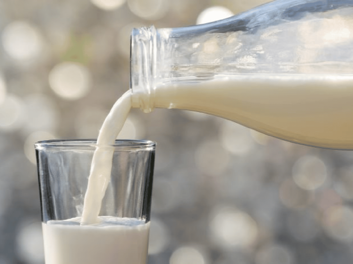 En tiempo de crisis, aparecen los sustitutos de la leche