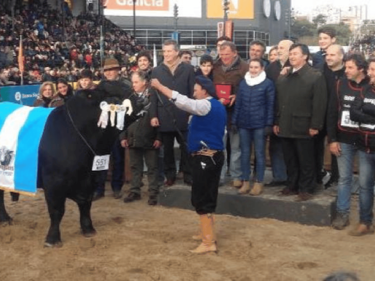 Récord: pagan $ 2,45 millones por un toro cordobés, en la Rural de Palermo