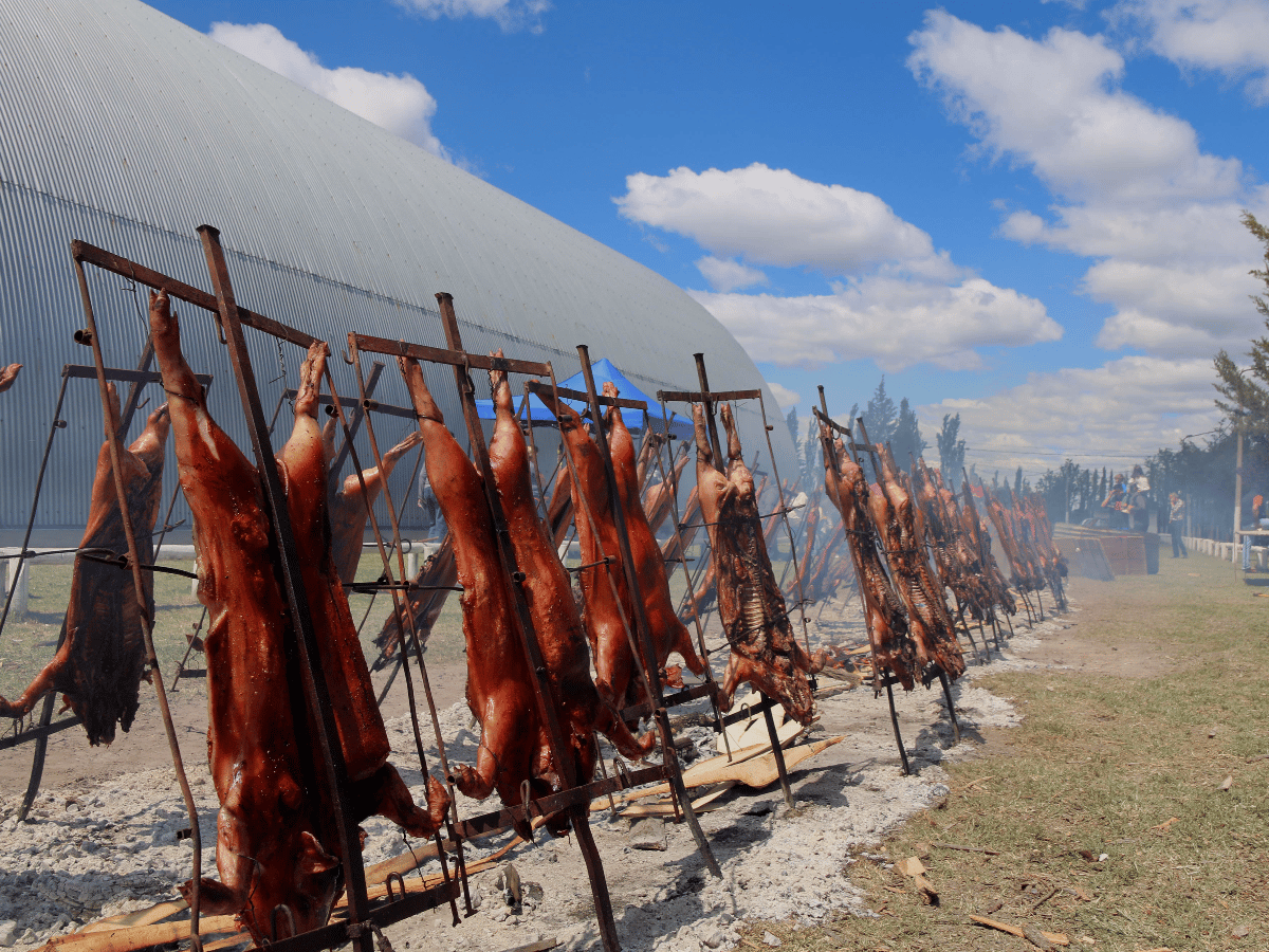 Fomentan el desarrollo ganadero porcino para elevar el consumo a 25 kilos anuales per cápita