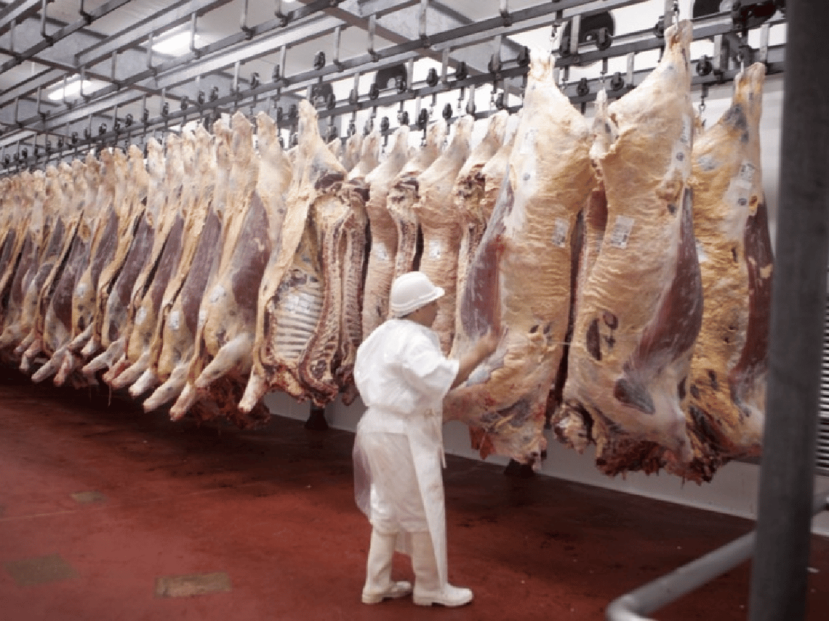 Argentina comenzó a exportar carne de calidad a China