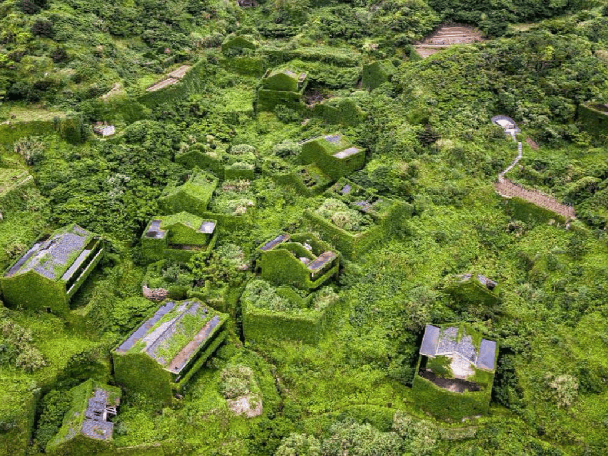 El pueblo abandonado que fue tomado por las plantas y hoy solo visitan turistas