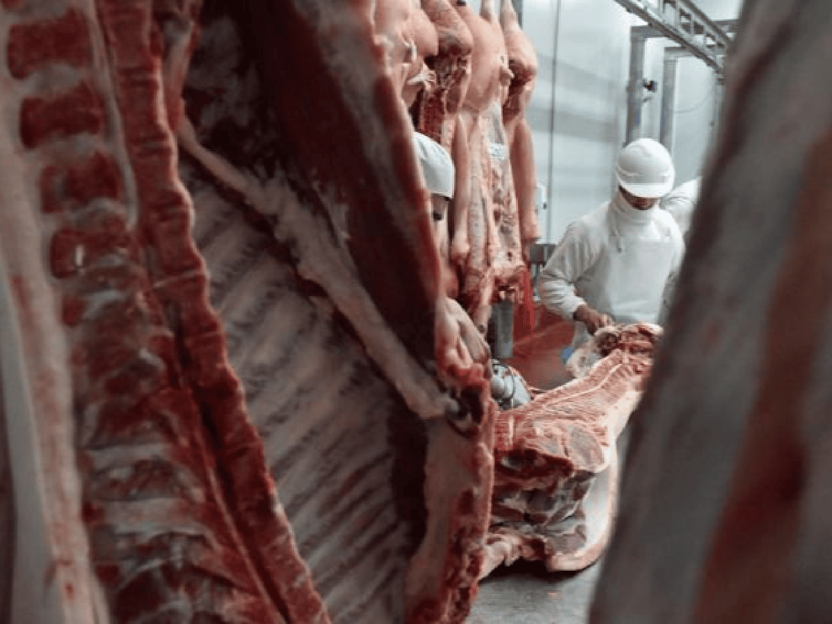 Argentina será el sexto exportador mundial de carne vacuna