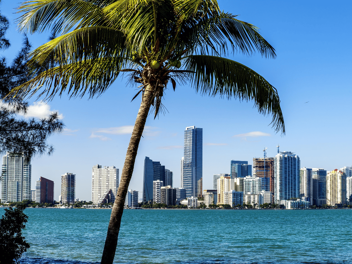 Miami, un destino “muy buscado” por los sanfrancisqueños 
