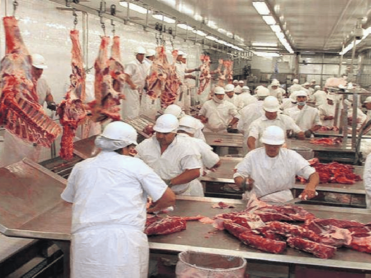 Según el Gobierno, las exportaciones de carne vacuna superaron las 500 mil toneladas