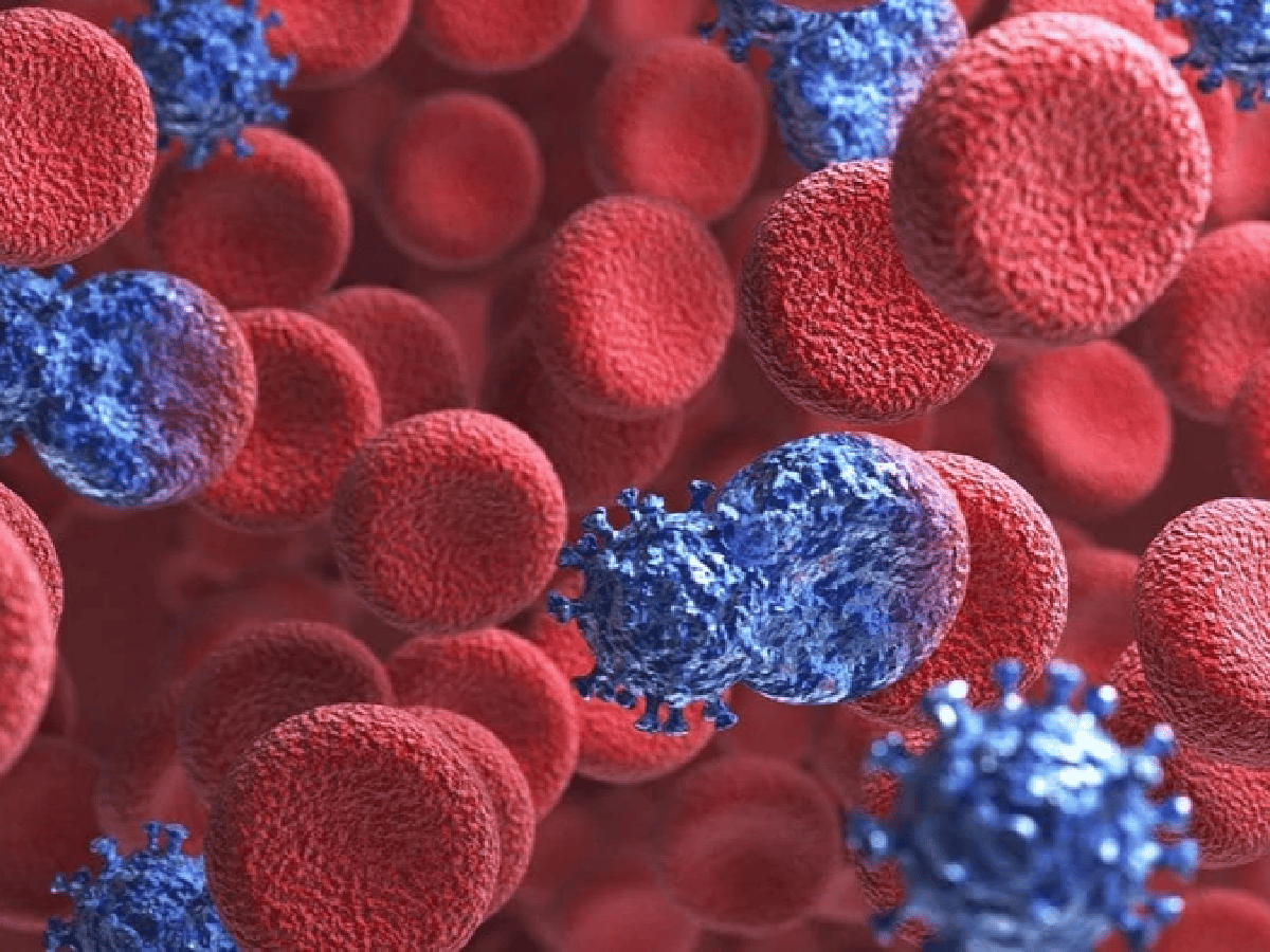 VIH: por segunda vez en la historia se logró curar a una persona