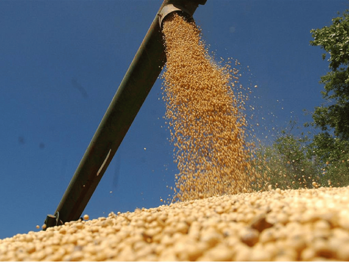 Molienda de soja: en junio se industrializaron 9 de cada 10 toneladas