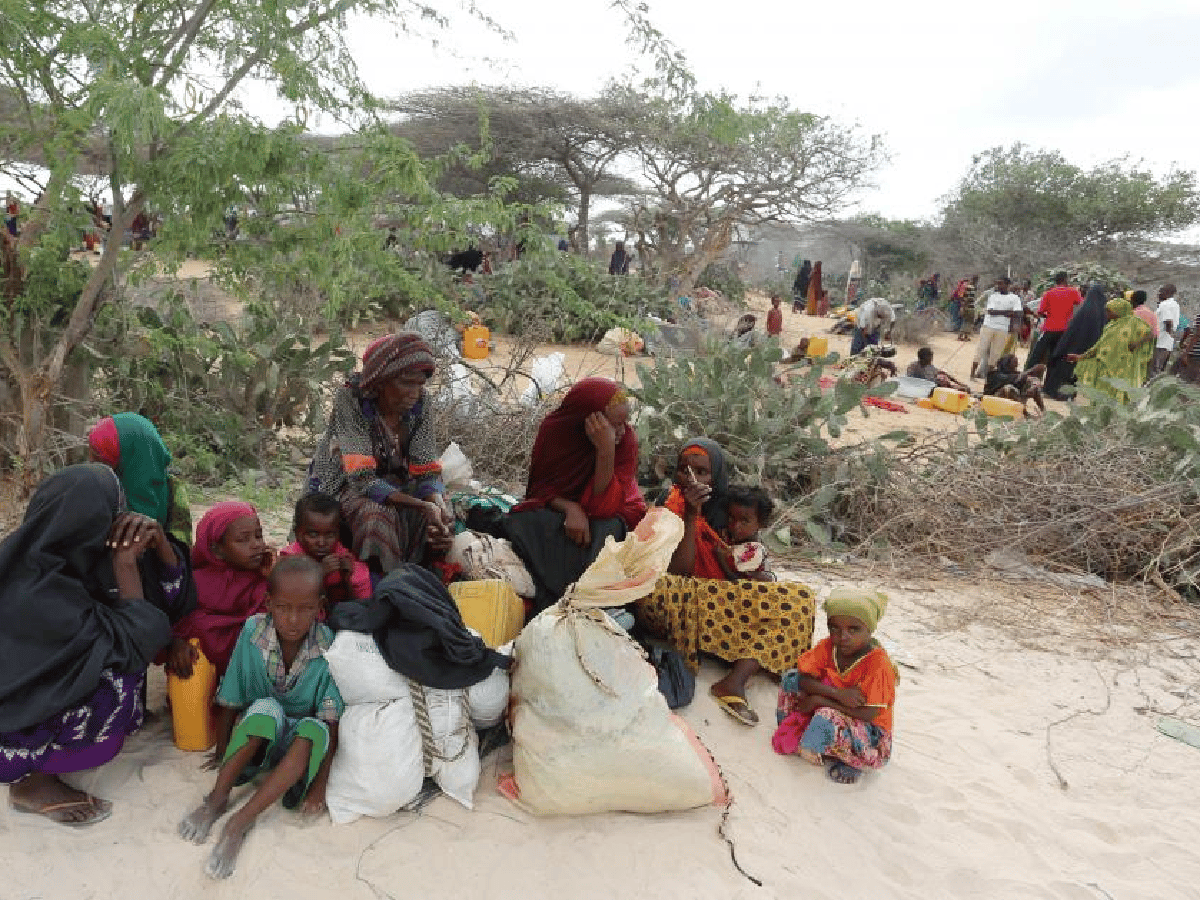 Denuncian que un millón de somalíes huyeron de sus hogares por la sequía