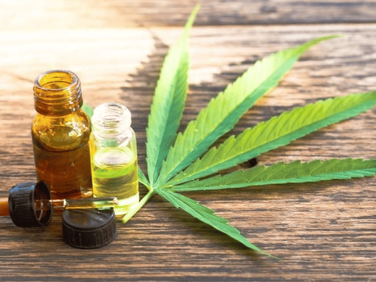 Las farmacias de La Plata venderán aceite de cannabis para pacientes con epilepsia