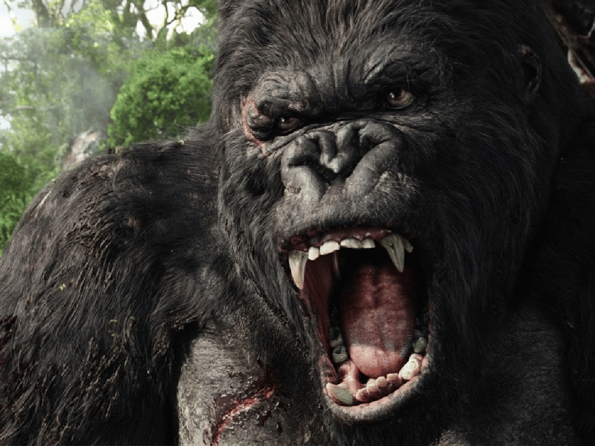Kong y John Wick 2, las películas que renuevan la cartelera del Radar 