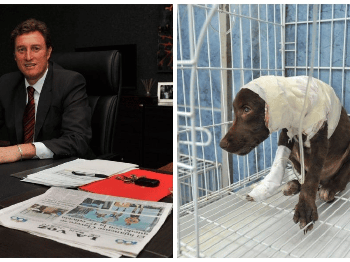 García Aresca habló sobre el maltrato animal y prometió esterilizaciones a domicilio 