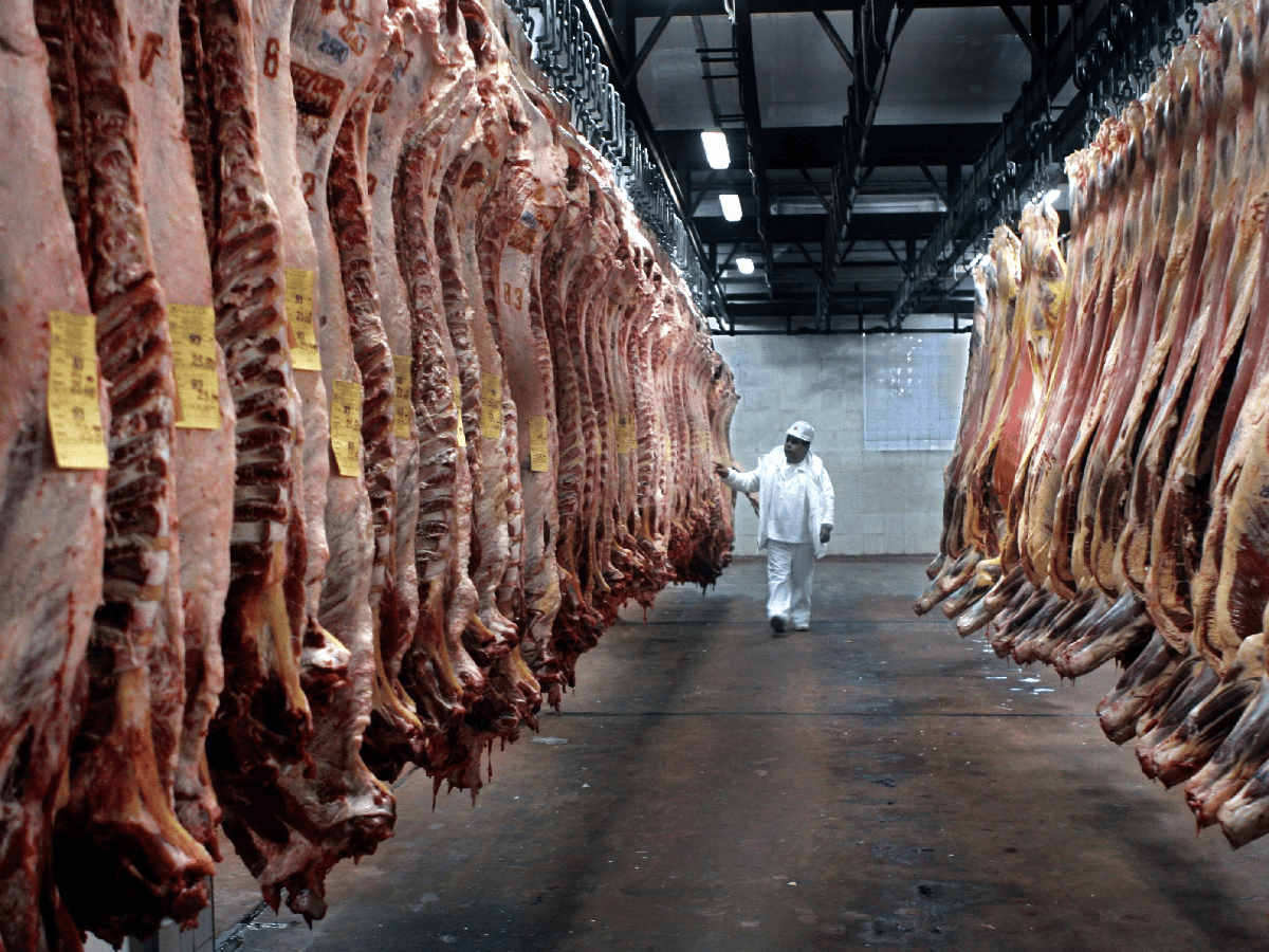 Pronostican un aumento en el precio de la carne