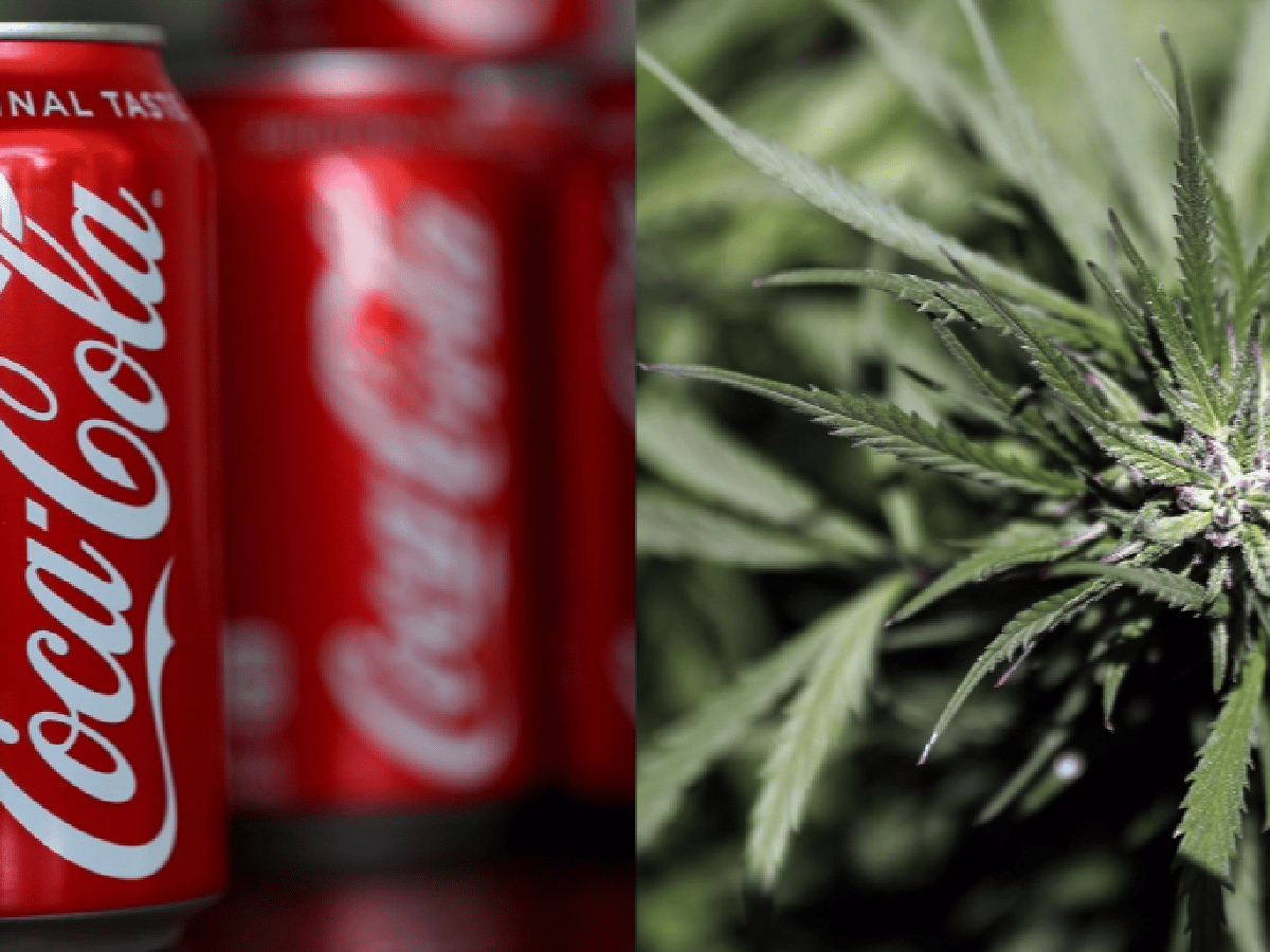 Coca-Cola estudia desarrollar infusiones con un compuesto del cannabis