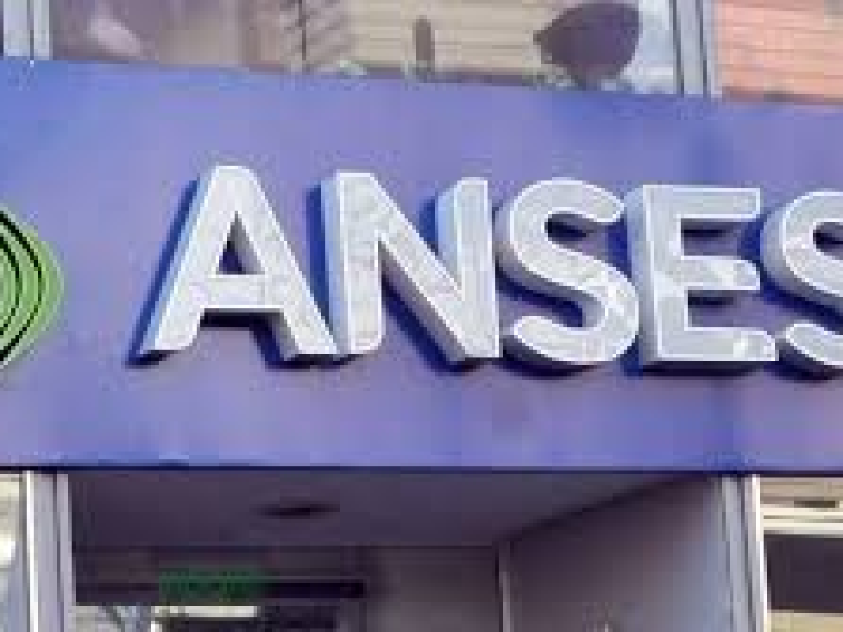 El Fondo de Garantía de la Anses perdió U$S17.691 millones por la crisis financiera