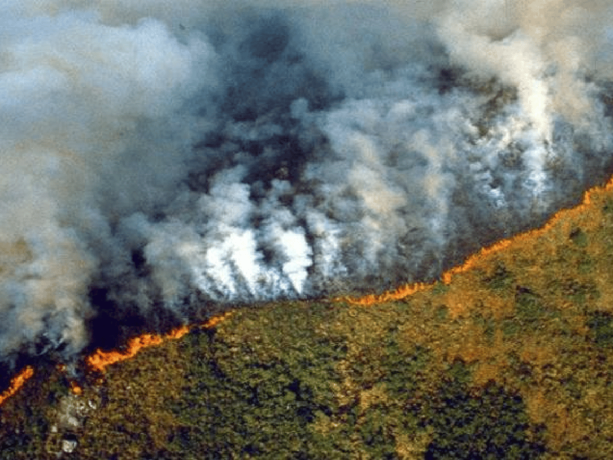Brasil: arde el Amazonas y Bolsonaro culpó a las ONGs ambientalistas