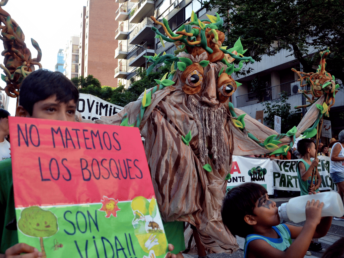 Multitudinaria marcha en Córdoba contra el proyecto de ley de bosques nativos