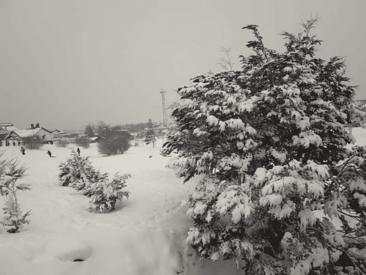 Intensa nevada en Ushuaia: casi -10 grados de térmica