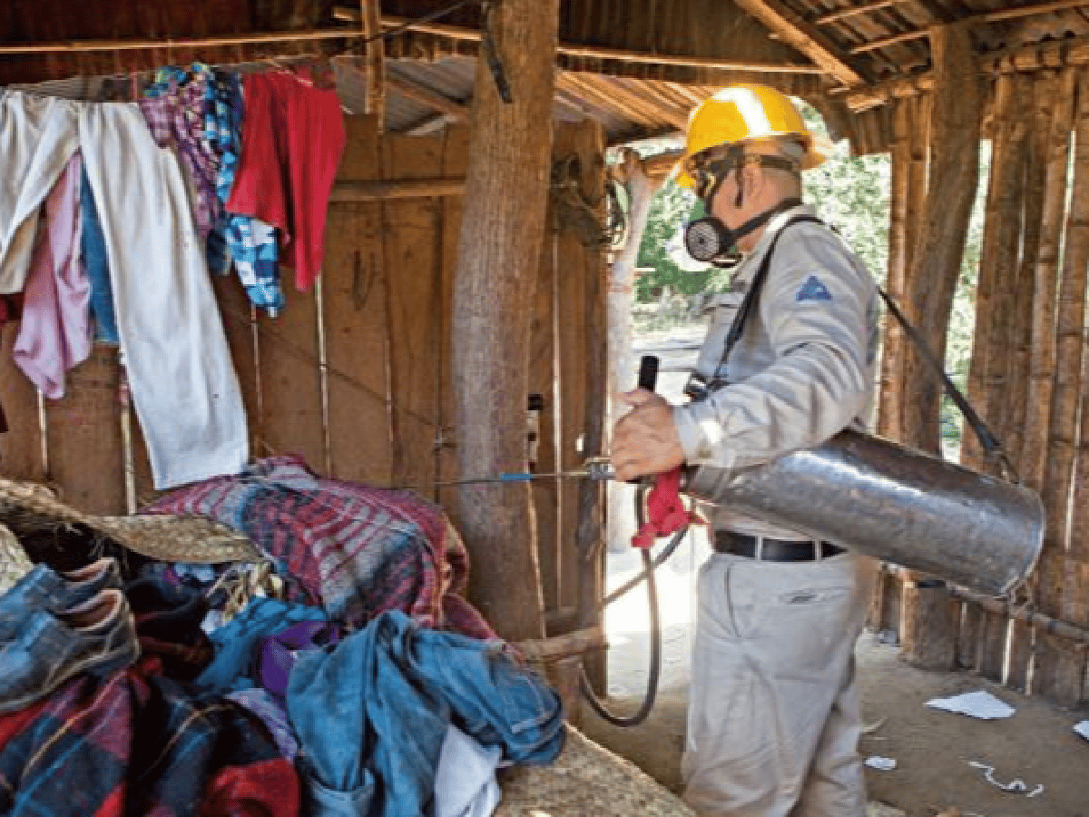 Mal de Chagas: la enfermedad que crece con la pobreza  