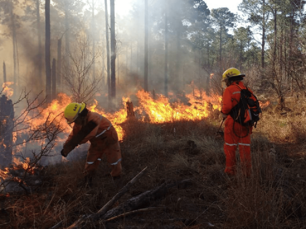 Advierten por "alto riesgo de incendio" en las sierras de Córdoba