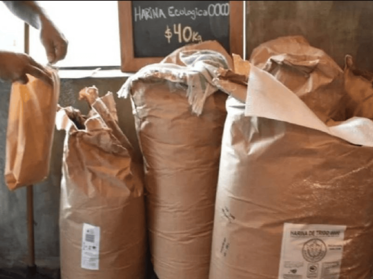 En Santa Fe ya comercializan harina ecológica
