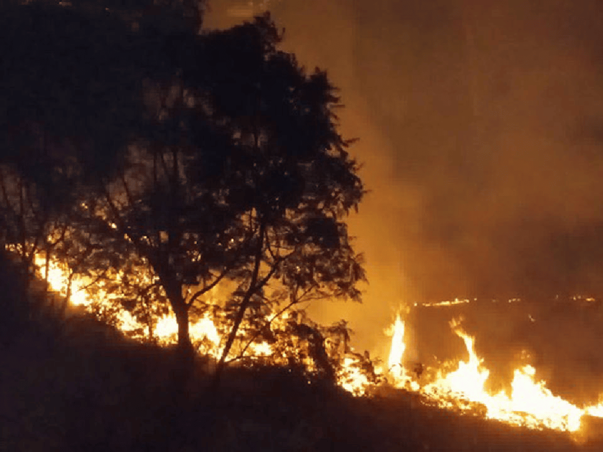 Susto por incendio en el Parque Sarmiento de Córdoba