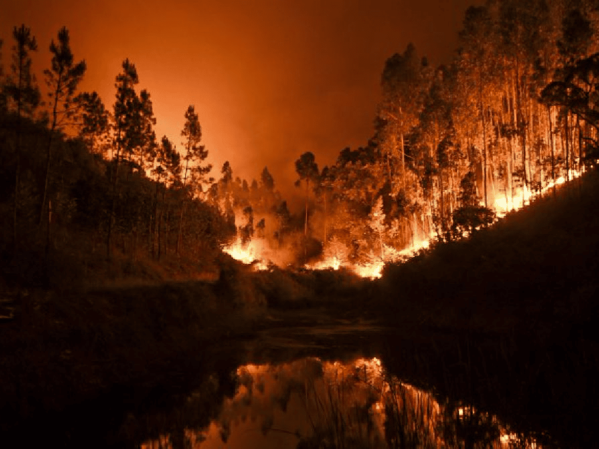 Incendio forestal en Portugal: sube a 62 el número de muertos 