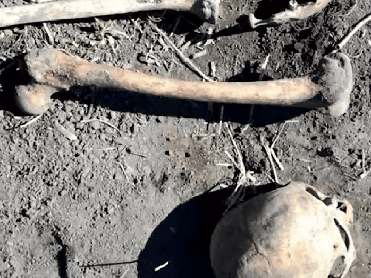 Sembraba papas en el jardín de su casa y encontró el esqueleto del ex de su esposa