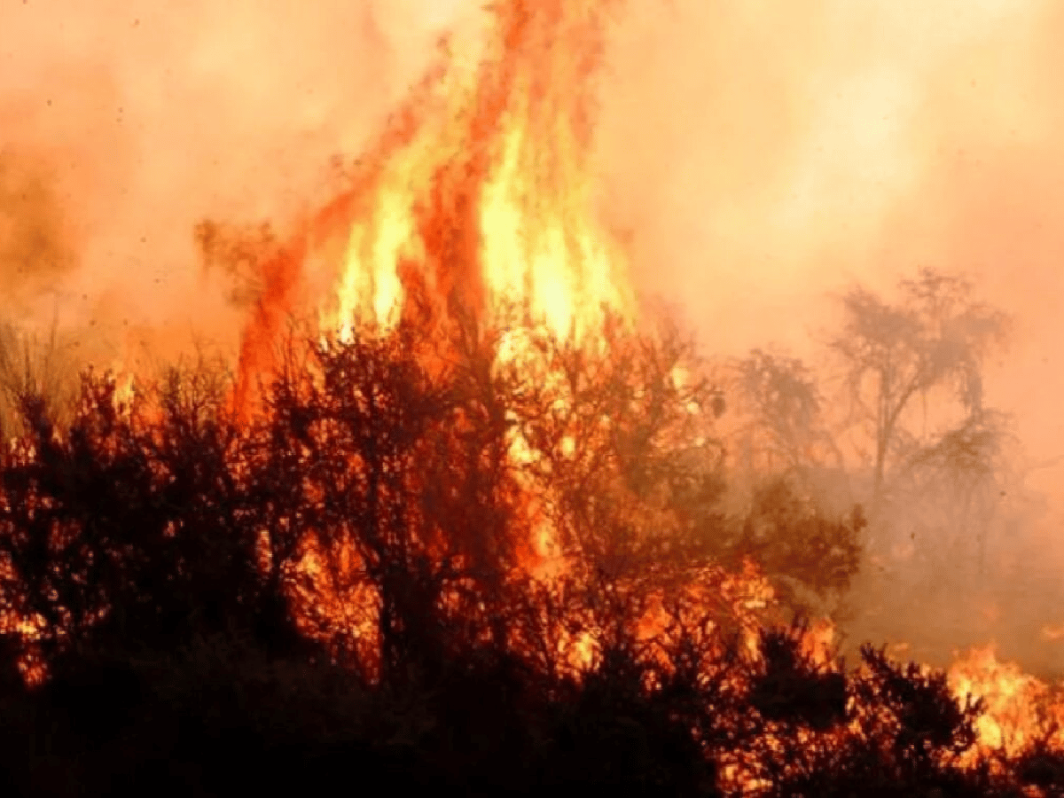 Argentina, “más vulnerable” a la mutación de los incendios