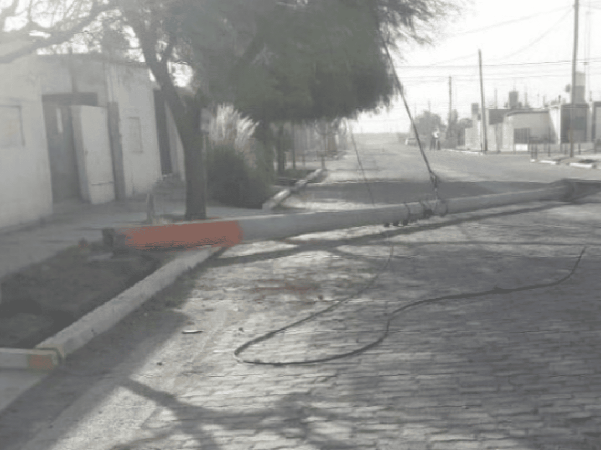 Destrozos por el Zonda en San Juan: árboles y postes caídos