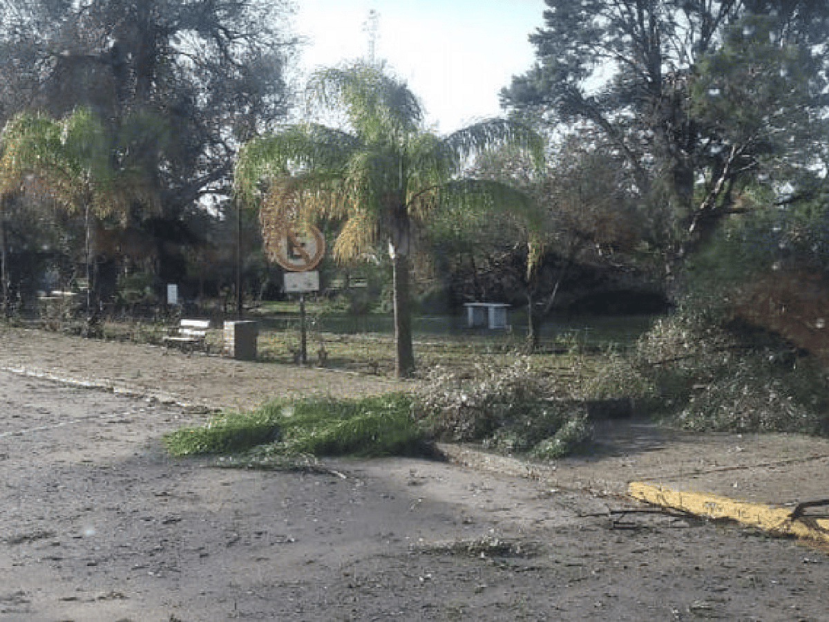 Un temporal de lluvia y viento causa destrozos materiales en Córdoba