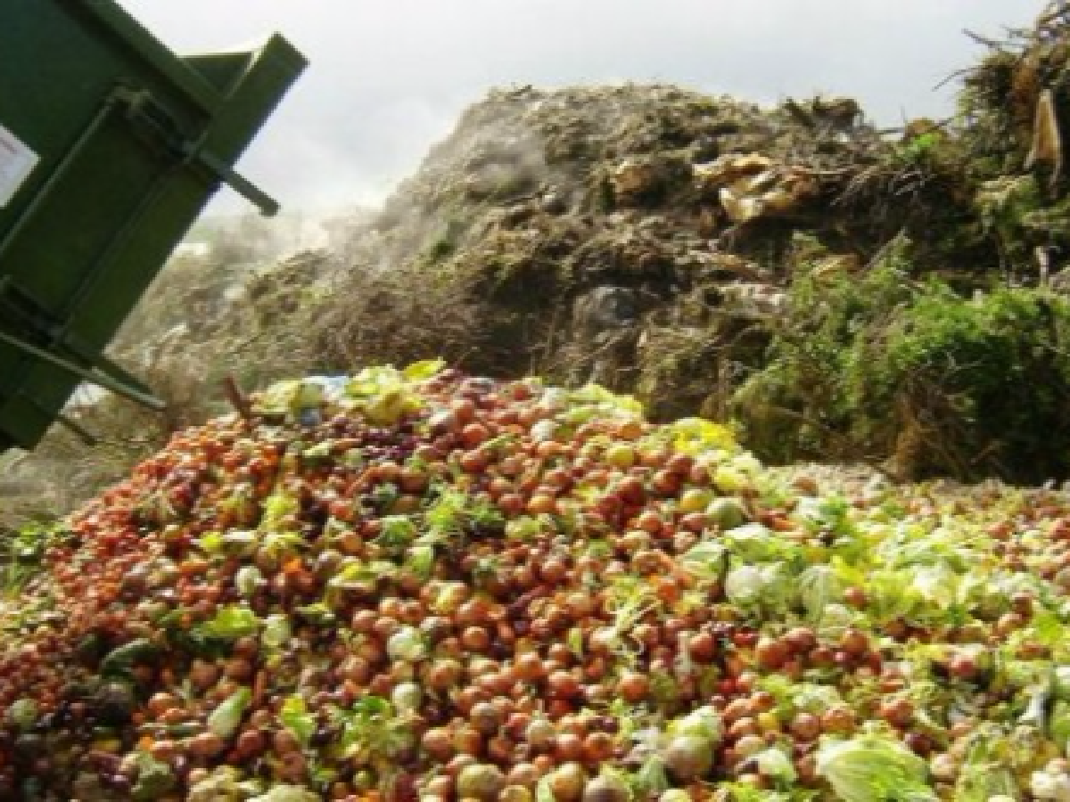El desperdicio de alimentos en Argentina llega a 16 millones de toneladas anuales