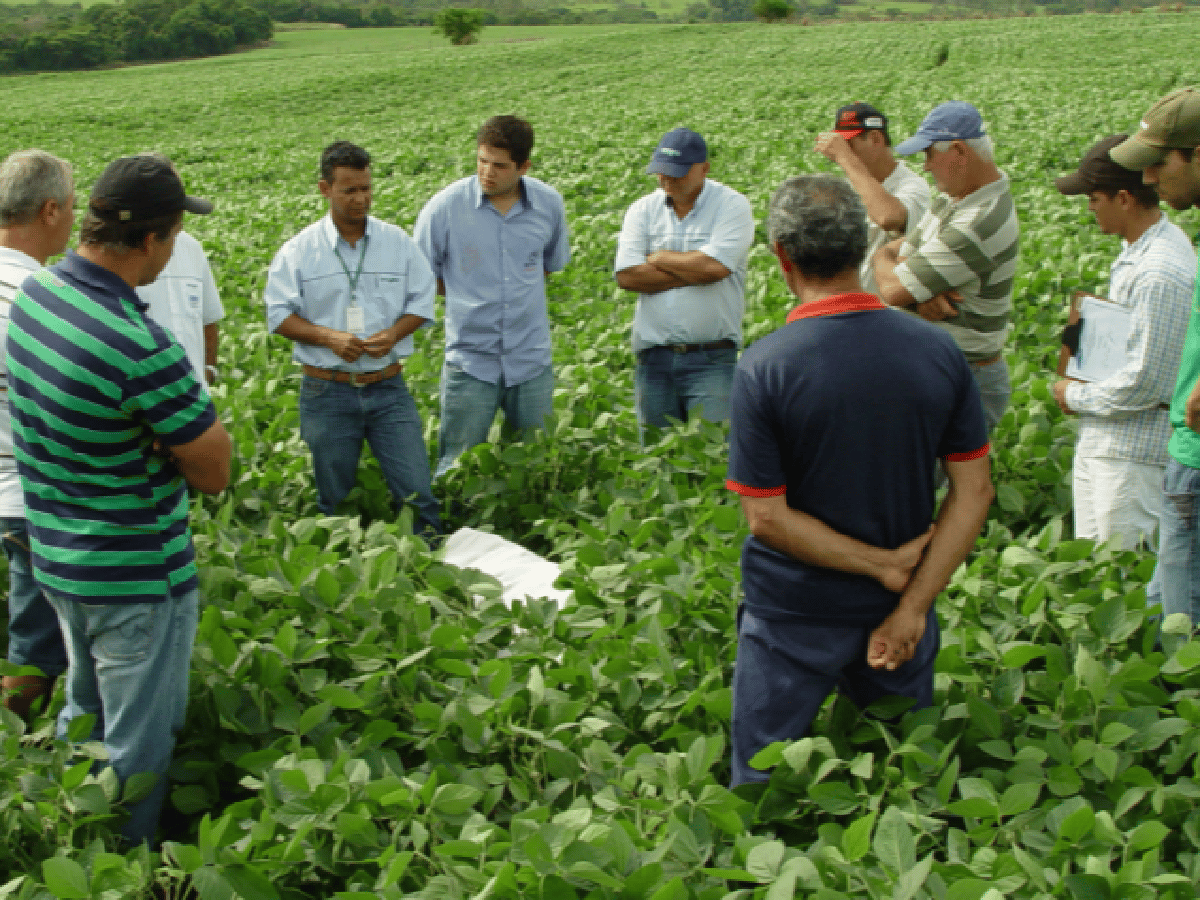 La Legislatura de Córdoba aprobó la ley de Buenas Prácticas Agropecuarias