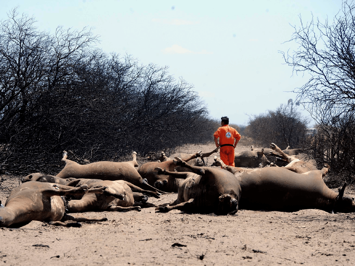 Nuevos focos de incendio en La Pampa: campos se recuperarán en 4 ó 5 años