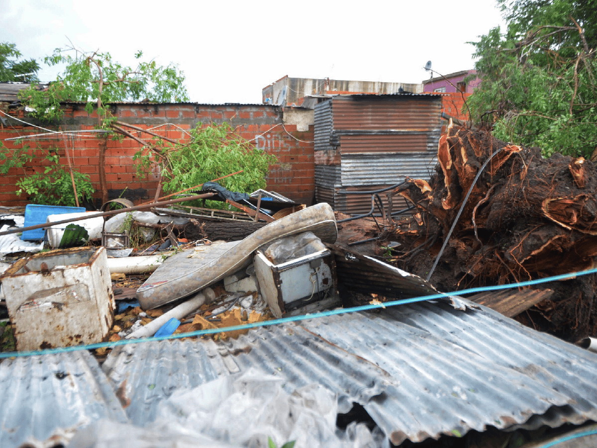 Dos muertos al caer un árbol sobre una casa en medio del temporal de La Plata