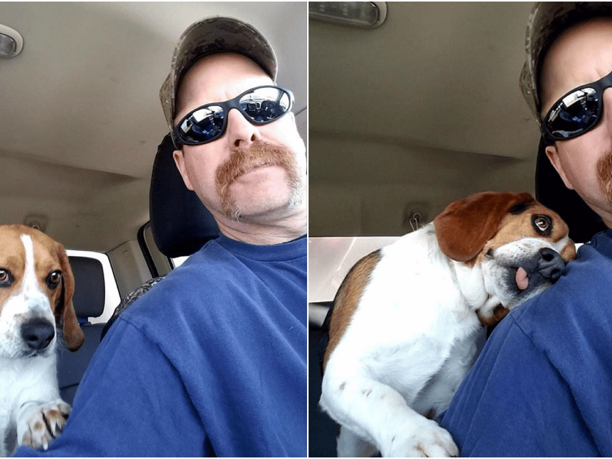 Adoptó un Beagle que iba a ser sacrificado y el perro se lo agradeció con un tierno abrazo