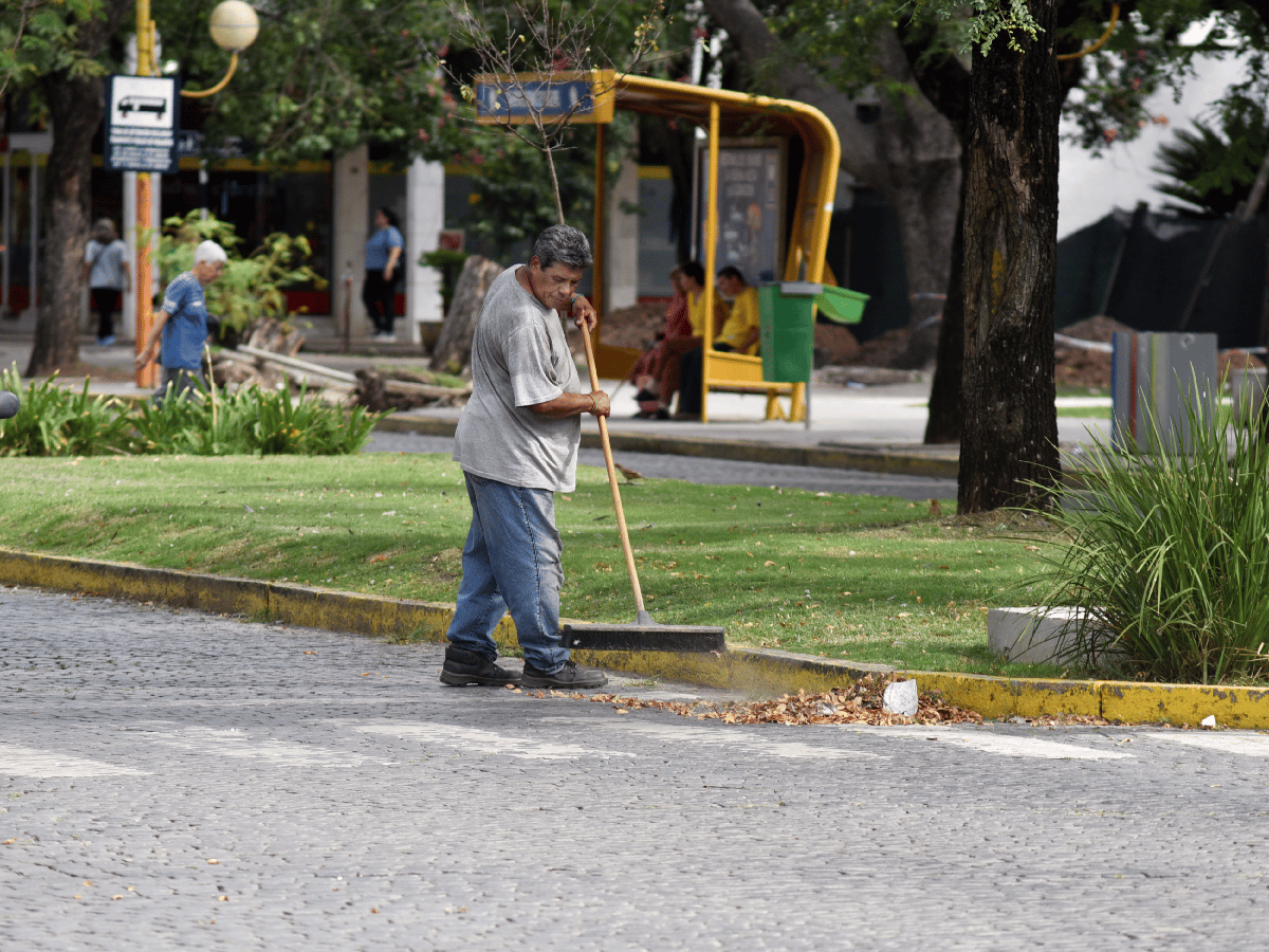 Después de la lluvia la recolección de hojas empezará por los barrios Sarmiento y Catedral
