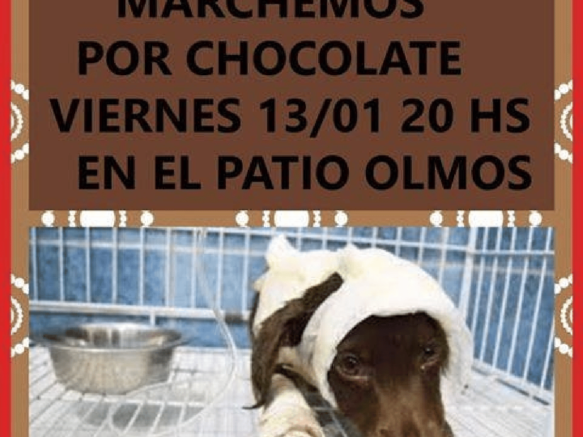 Córdoba también se movilizará por el caso Chocolate