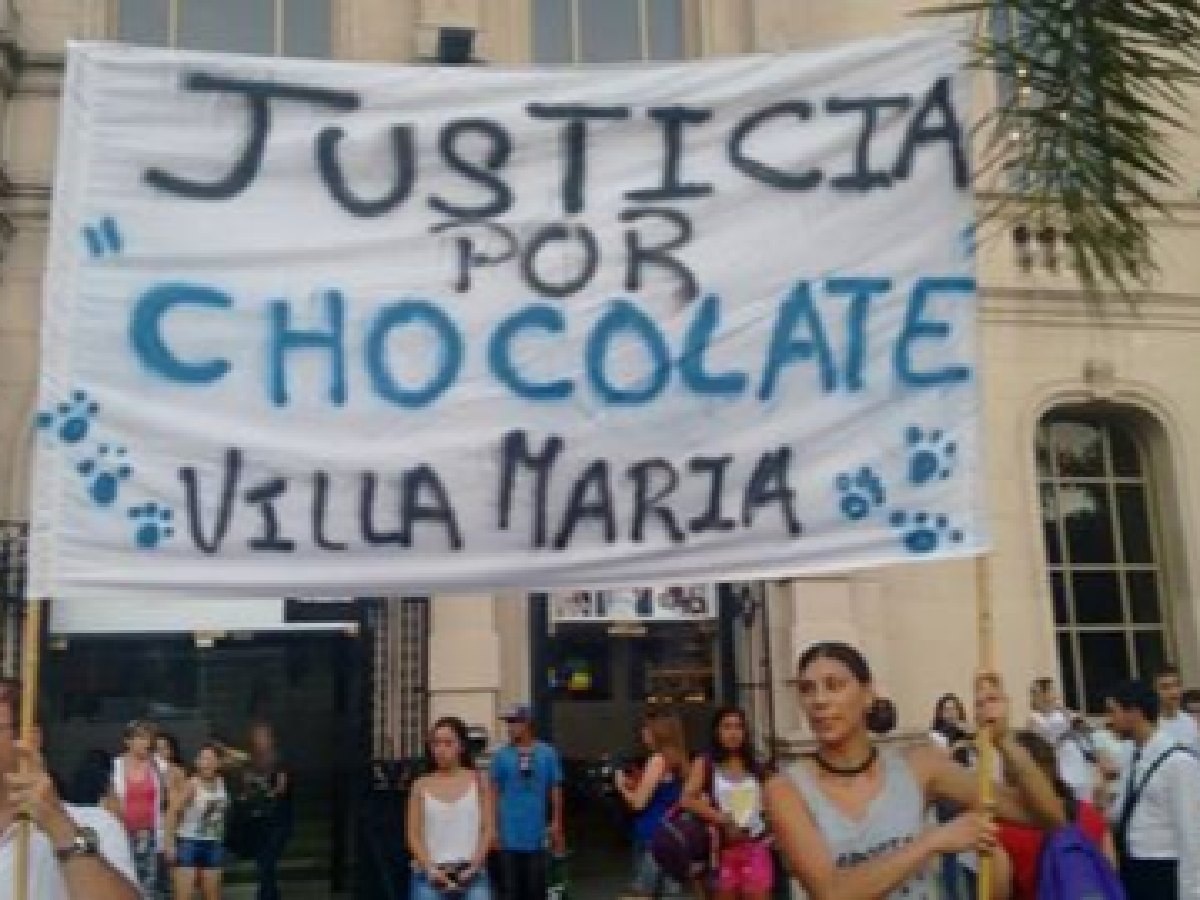 #TodosSomosChocolate: en Córdoba marchan contra el maltrato animal