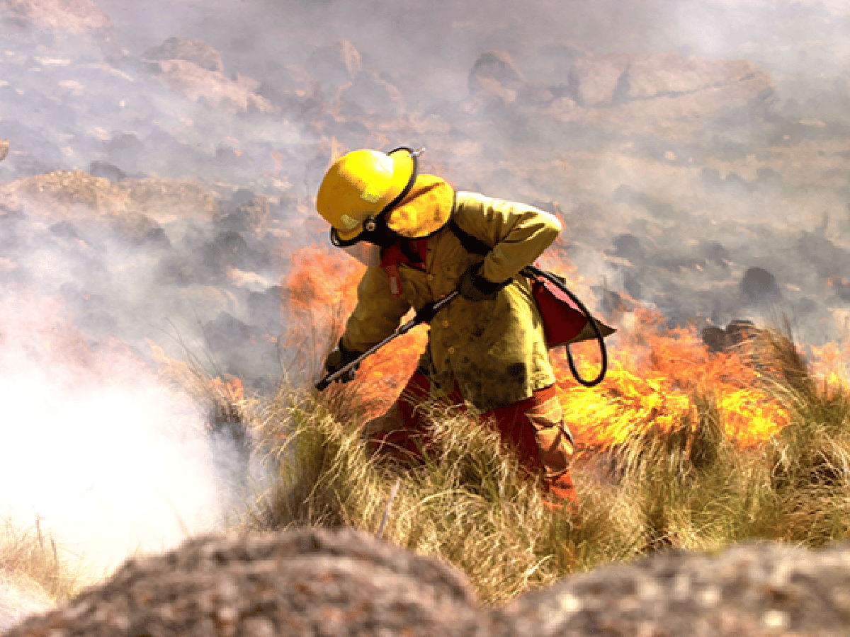 Advierten sobre el peligro “extremo” para el desarrollo de incendios forestales