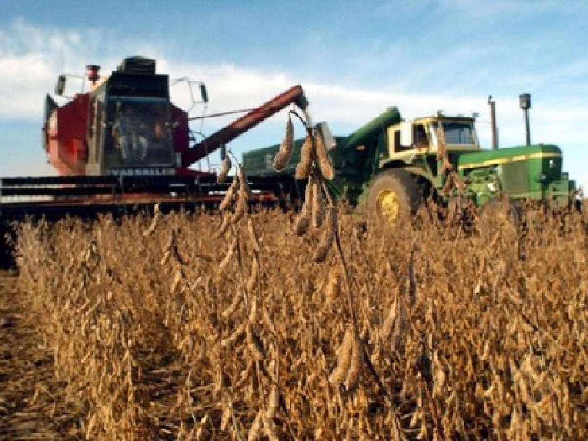 Febril actividad de cosecha:  se recolectaron 1,2 millones de hectáreas en una semana 