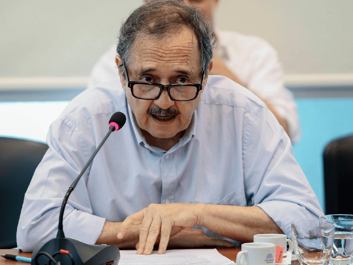 Alfonsín: "Mi partido tiene que decidir  si va a defender las ideas  del PRO o a las de la UCR” 